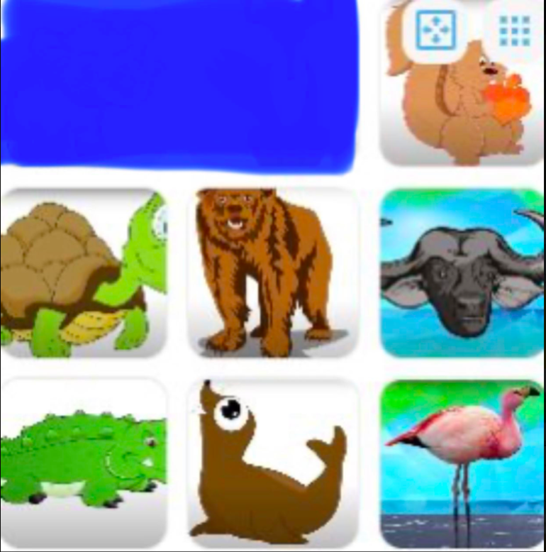 Animals